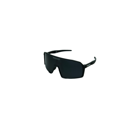 Sluneční brýle EAGLE ELITE PACK -  Black x Blue